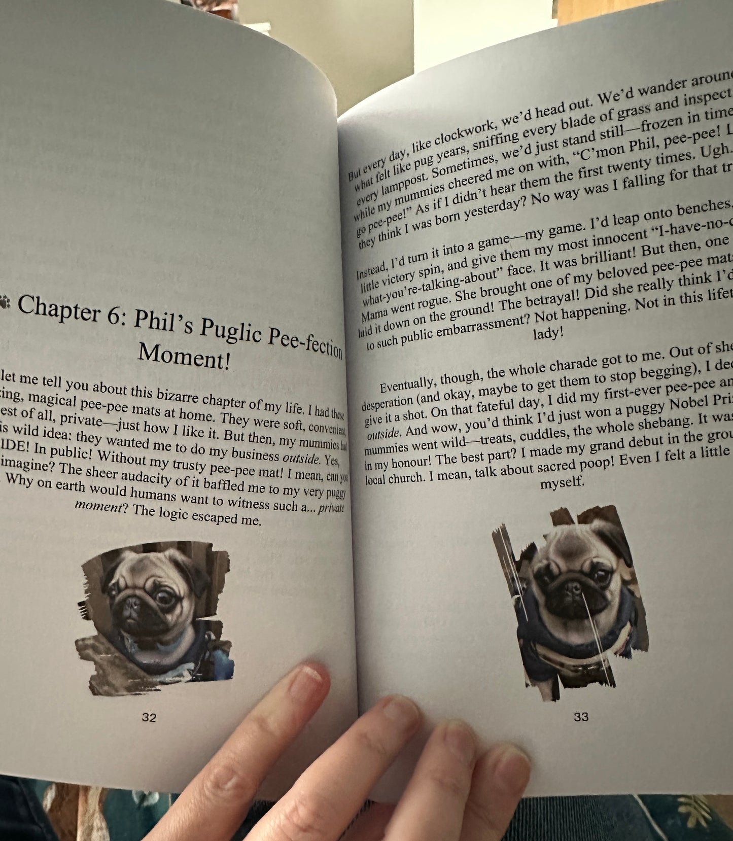 Phil The Pug - The Puppy Chronicles - Paperback