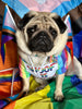 Phil the Pug—Strutting into Pride with Style!