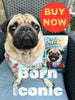 🐾 Phil the Pug’s Memoir Is Here: Born To Be A Legend