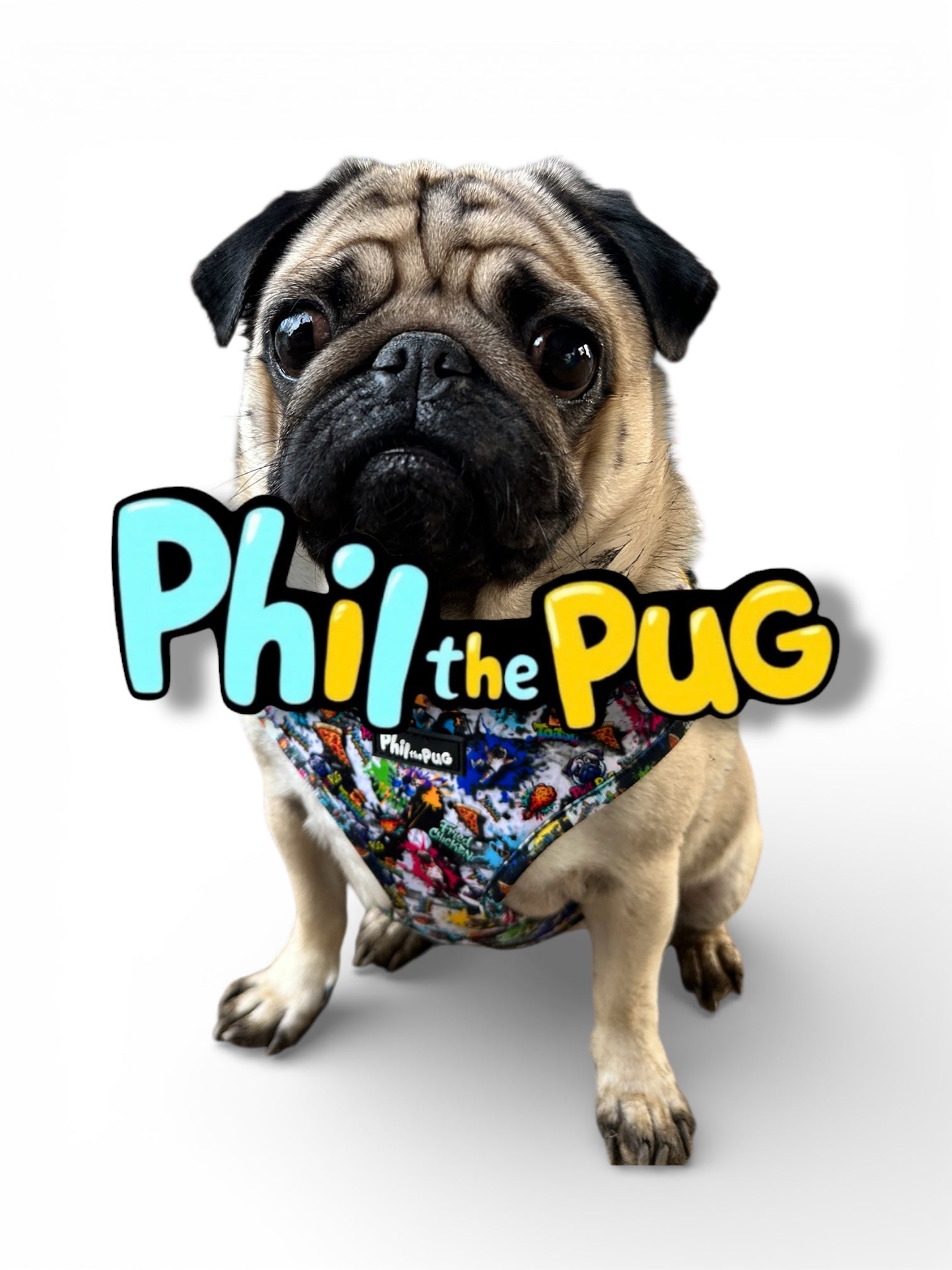 Phil's Rep Sales Portal