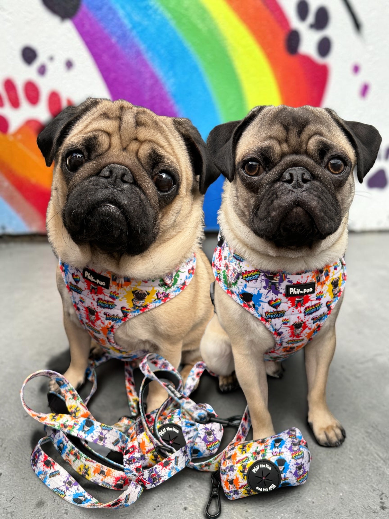 Phil's Harness Collections 🐾