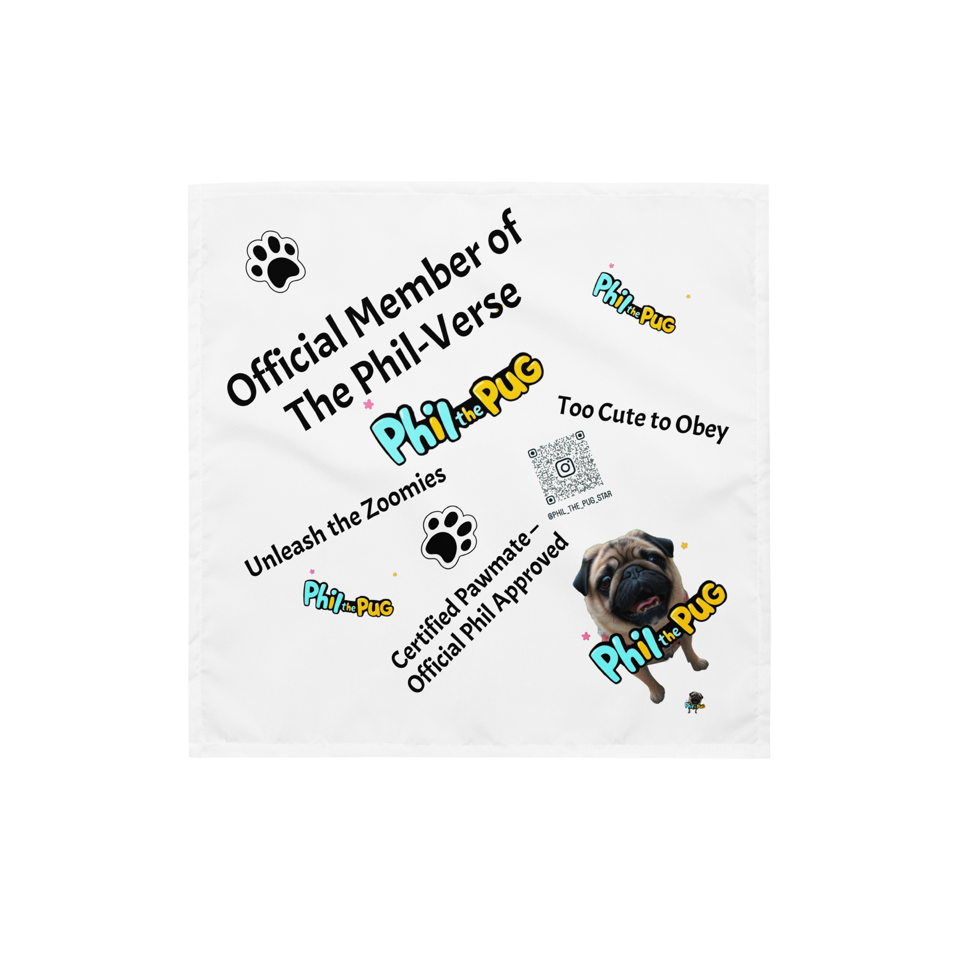 Pet Accessories