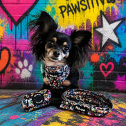 GraffiTales: Phil's Urban Crew Collection