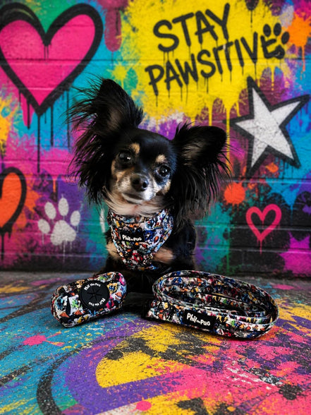 GraffiTales: Phil's Urban Crew Collection
