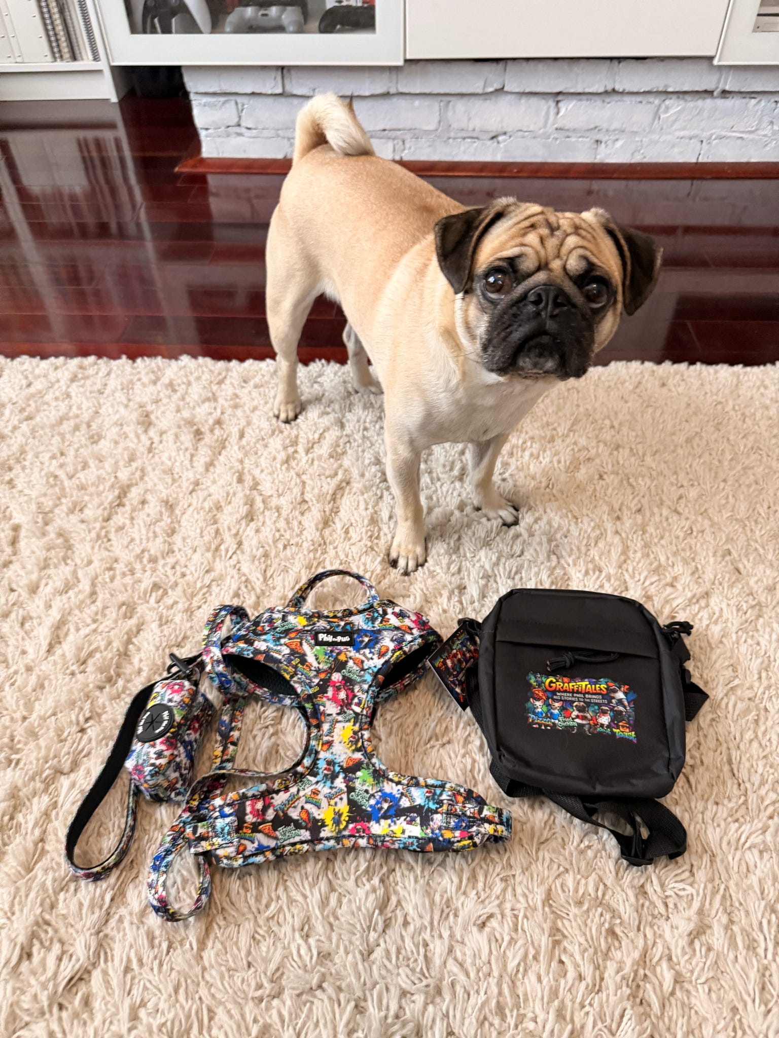 GraffiTales: Phil's Urban Crew Collection