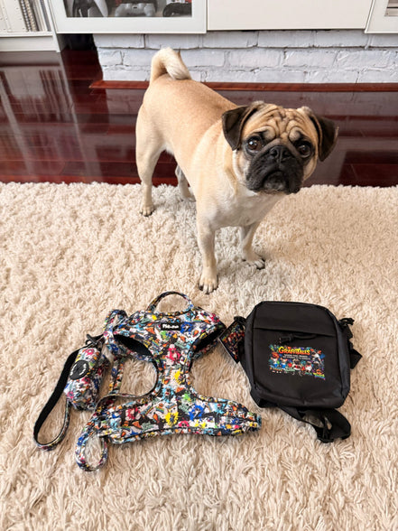GraffiTales: Phil's Urban Crew Collection