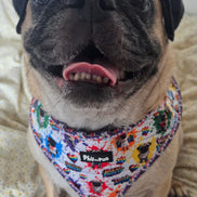 🌈 Phil’s Pride Parade Harness