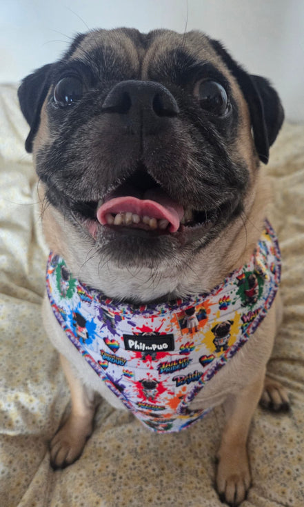 🌈 Phil’s Pride Parade Harness