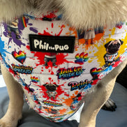 🌈 Phil’s Pride Parade Harness