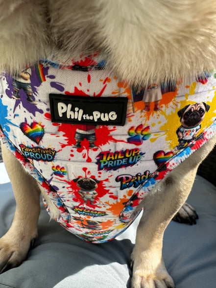 🌈 Phil’s Pride Parade Harness