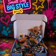 GraffiTales - Phil's Urban Crew Mini Legends Harness Collection