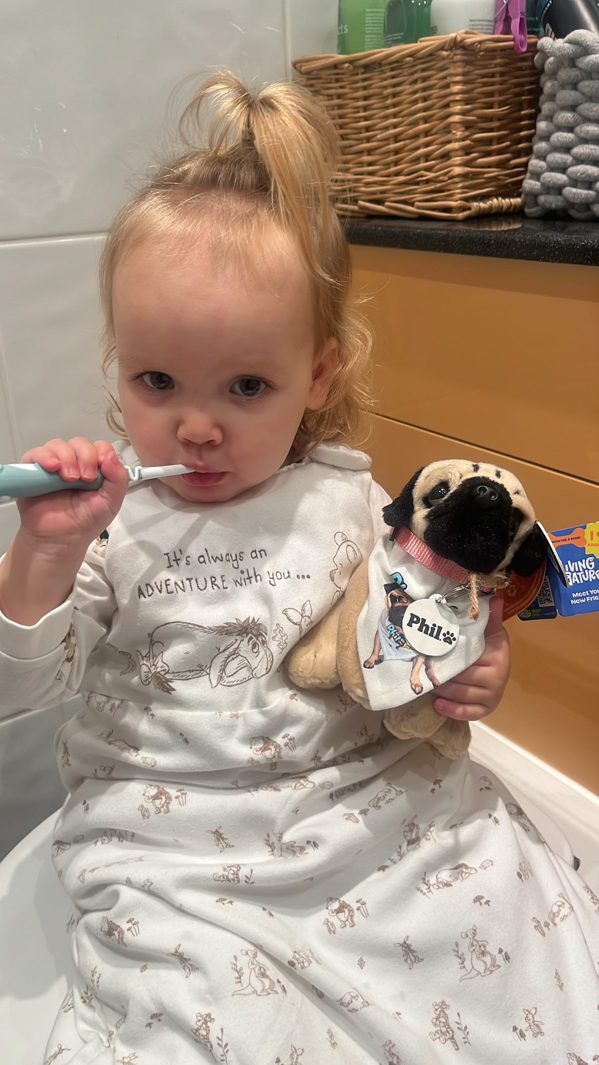 Phil the Pug – Custom Plush Toy with Signature Accessories - 16.5cm - Limited Edition