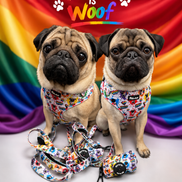 🌈 Phil’s Pride Parade Harness