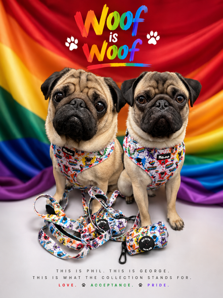 🌈 Phil’s Pride Parade Harness