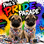 🌈 Phil’s Pride Parade Harness