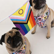 🌈 Phil’s Pride Parade Harness