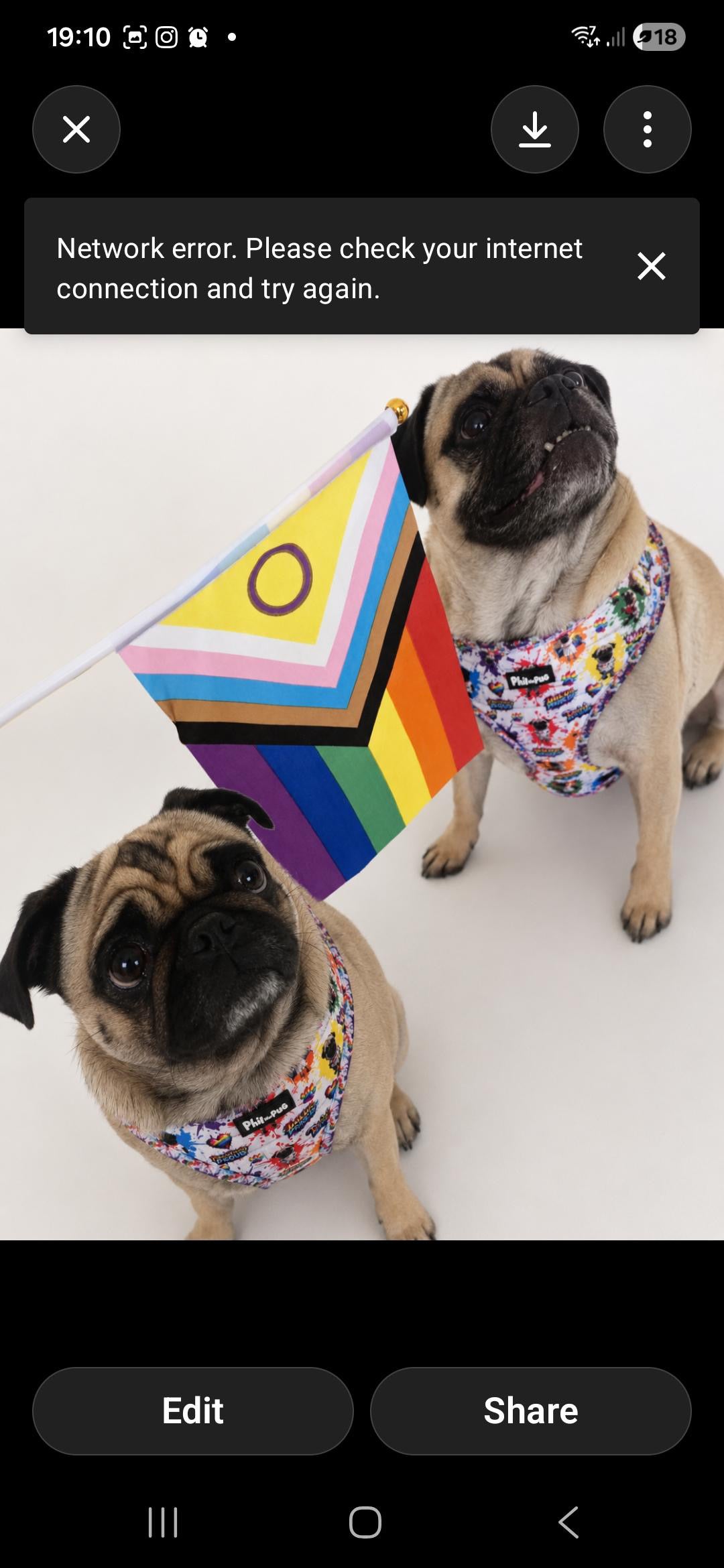 🌈 Phil’s Pride Parade Harness