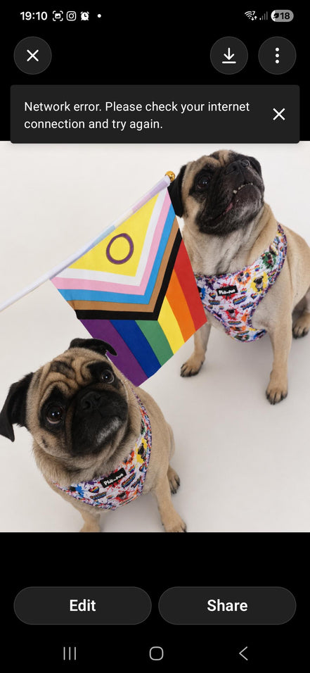 🌈 Phil’s Pride Parade Harness