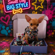 GraffiTales: Phil's Urban Crew Collection