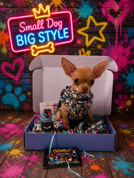 GraffiTales: Phil's Urban Crew Collection