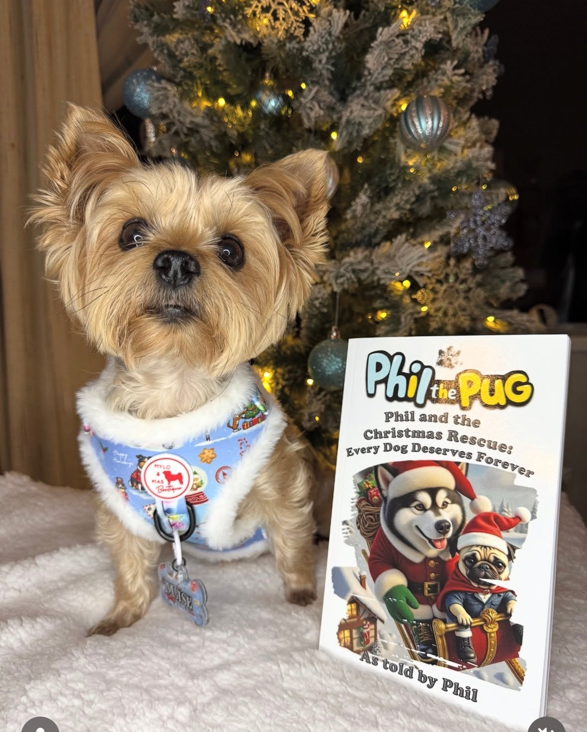 📖 Phil and the Christmas Rescue: Every Dog Deserves Forever (Signed Paperback Book Only)