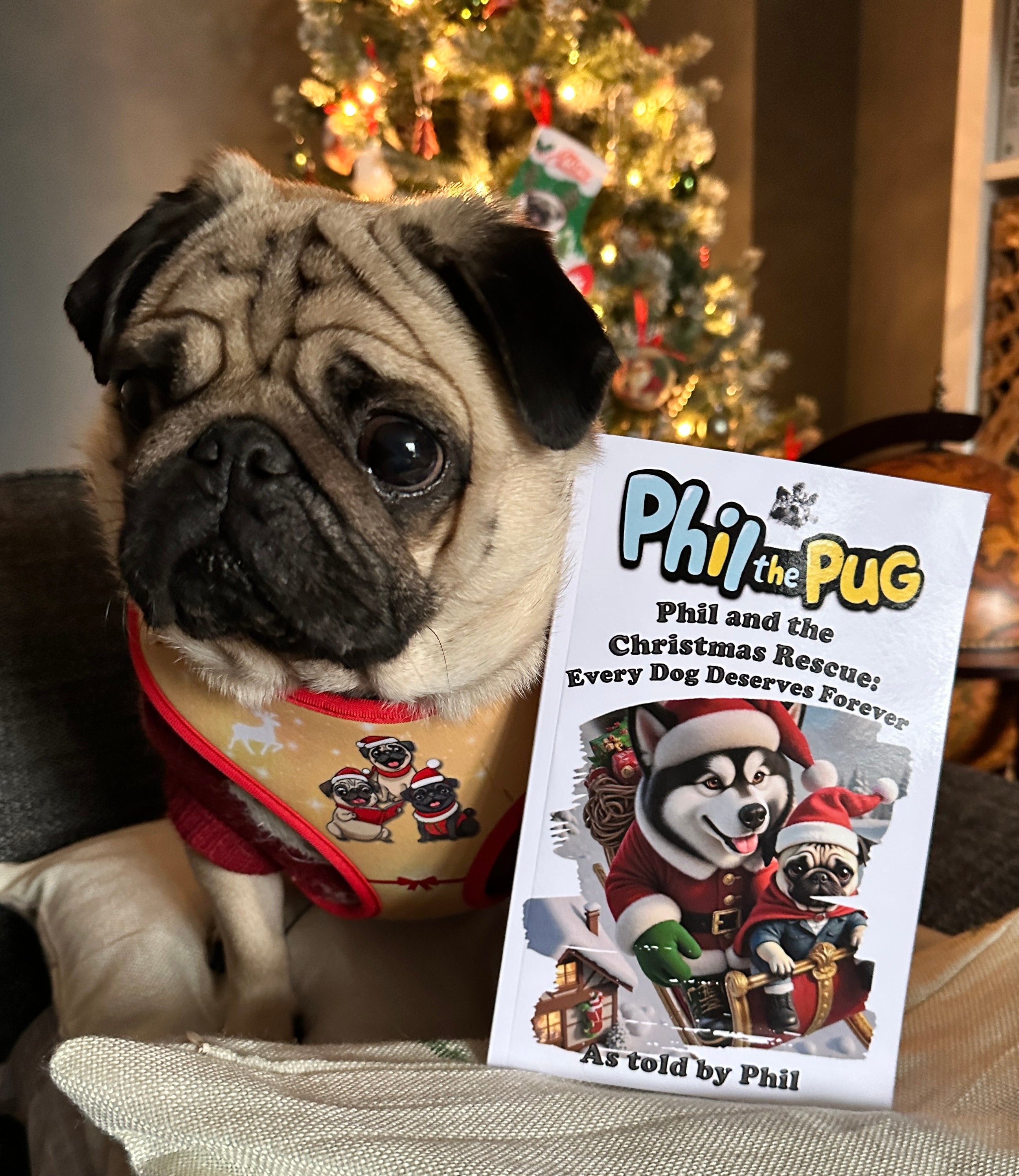 📖 Phil and the Christmas Rescue: Every Dog Deserves Forever (Signed Paperback Book Only)