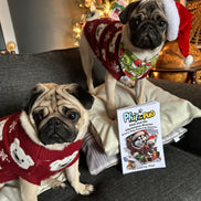 📖 Phil and the Christmas Rescue: Every Dog Deserves Forever (Signed Paperback Book Only)
