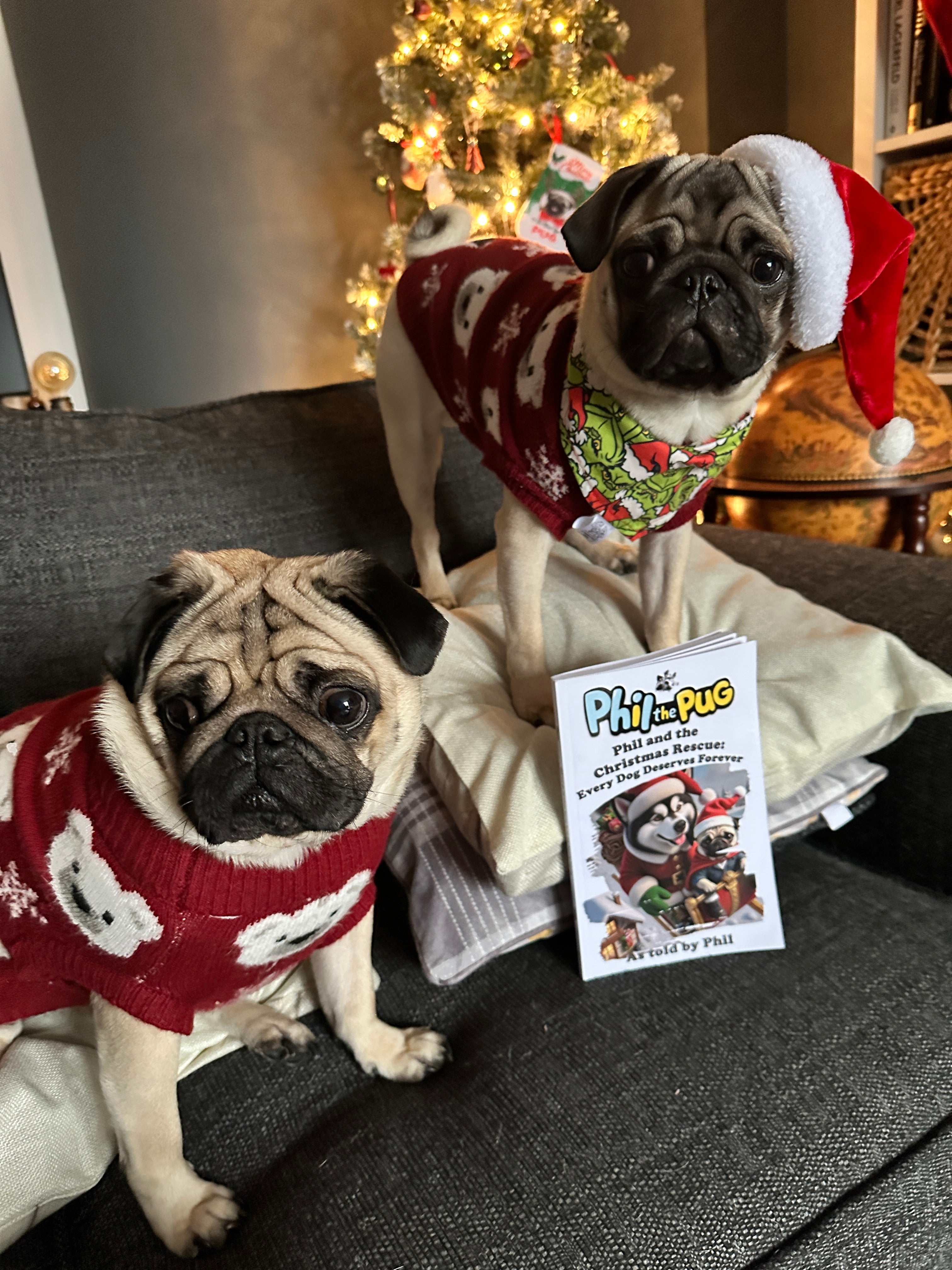 📖 Phil and the Christmas Rescue: Every Dog Deserves Forever (Signed Paperback Book Only)