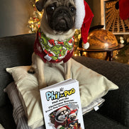 📖 Phil and the Christmas Rescue: Every Dog Deserves Forever (Signed Paperback Book Only)