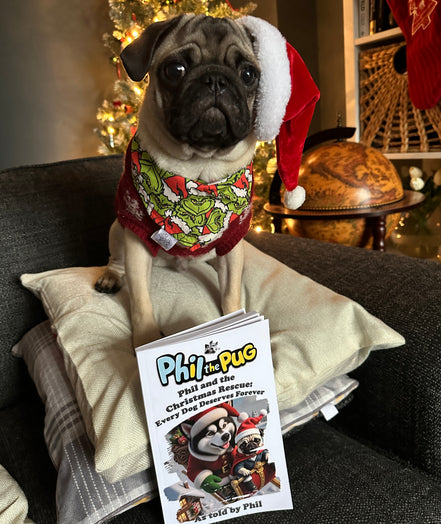 📖 Phil and the Christmas Rescue: Every Dog Deserves Forever (Signed Paperback Book Only)