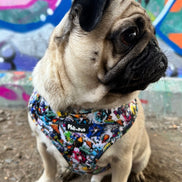 GraffiTales: Phil's Urban Crew Adjustable Harness