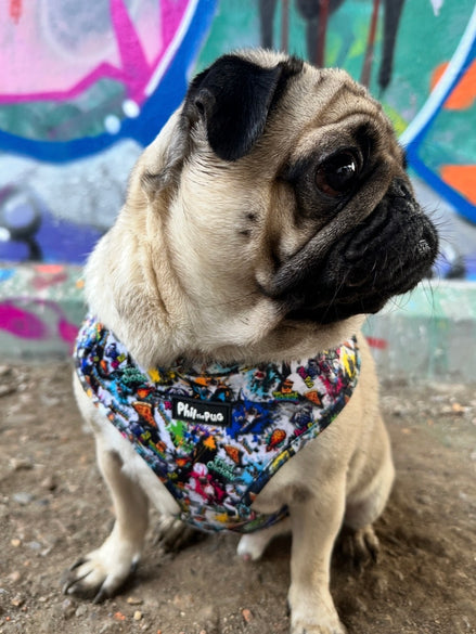 GraffiTales: Phil's Urban Crew Adjustable Harness