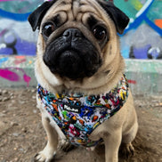 GraffiTales: Phil's Urban Crew Collection