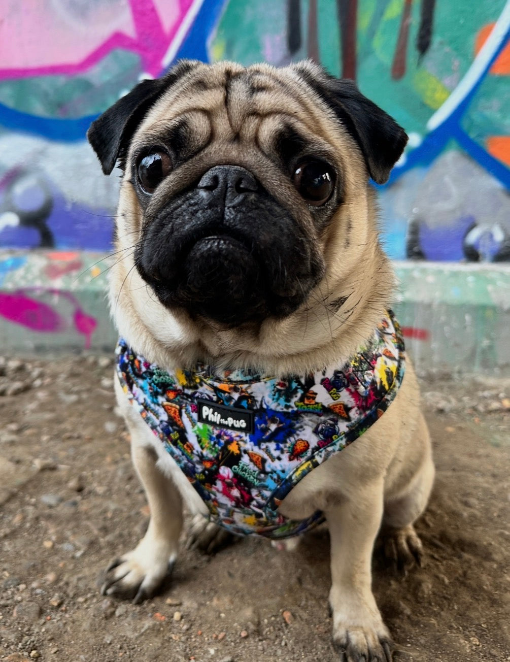 GraffiTales: Phil's Urban Crew Collection