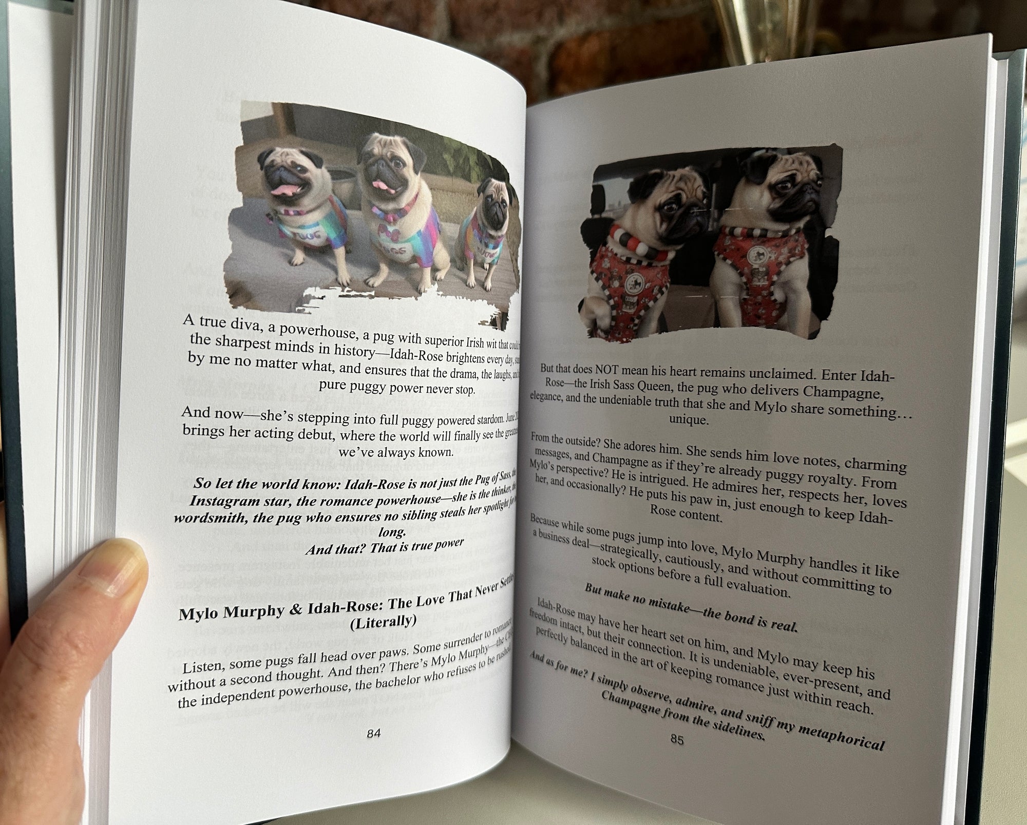 Phil the Pug - Born to be a Legend - Signed Edition - Hardback