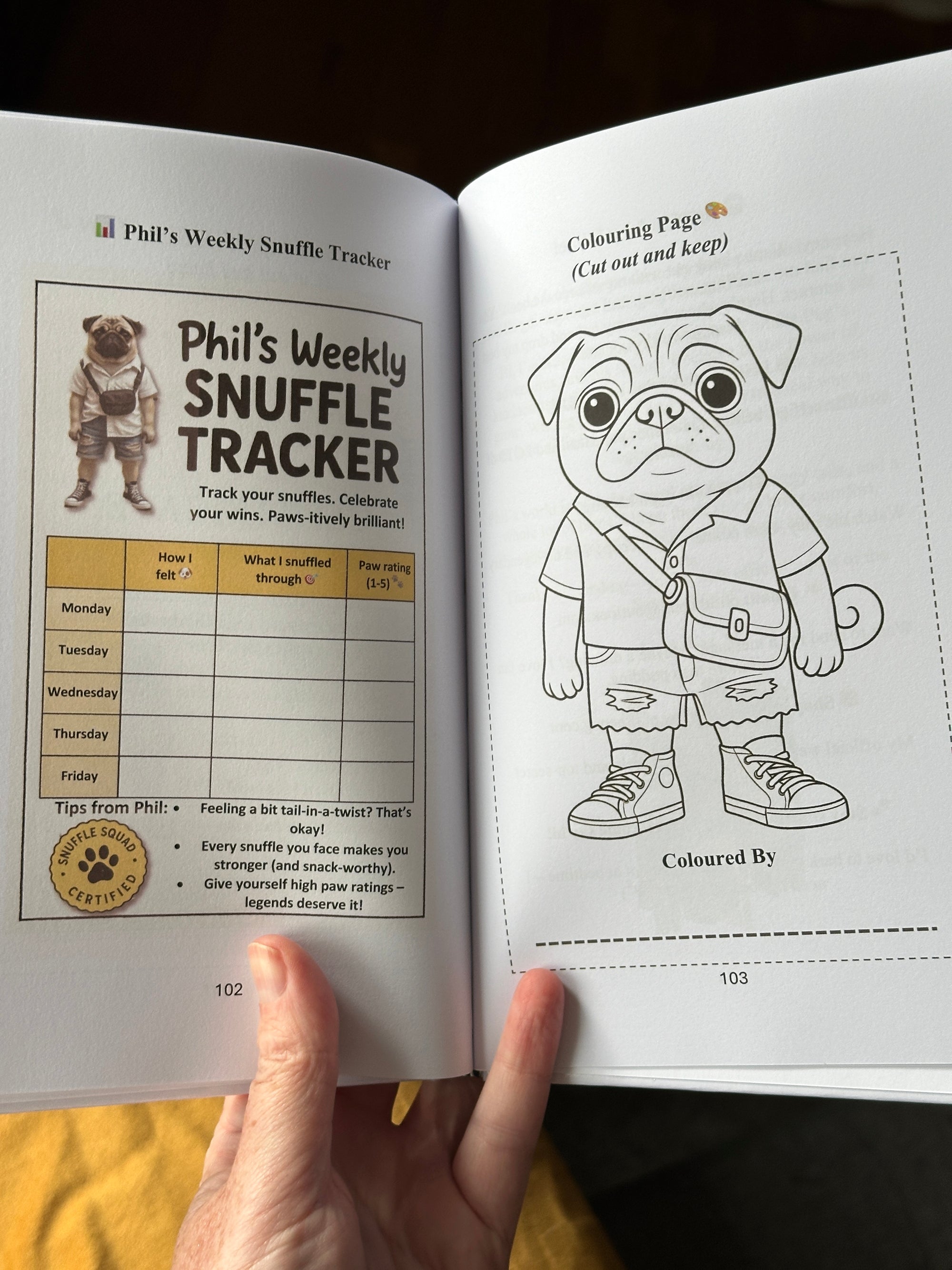 Phil the Pug - Phil and the Big Back-to-School Snuffle - Signed Edition - Children's Hardback Book