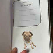 Phil the Pug - Phil and the Cat who Almost Liked Him - Signed Edition - Children's Paperback Book