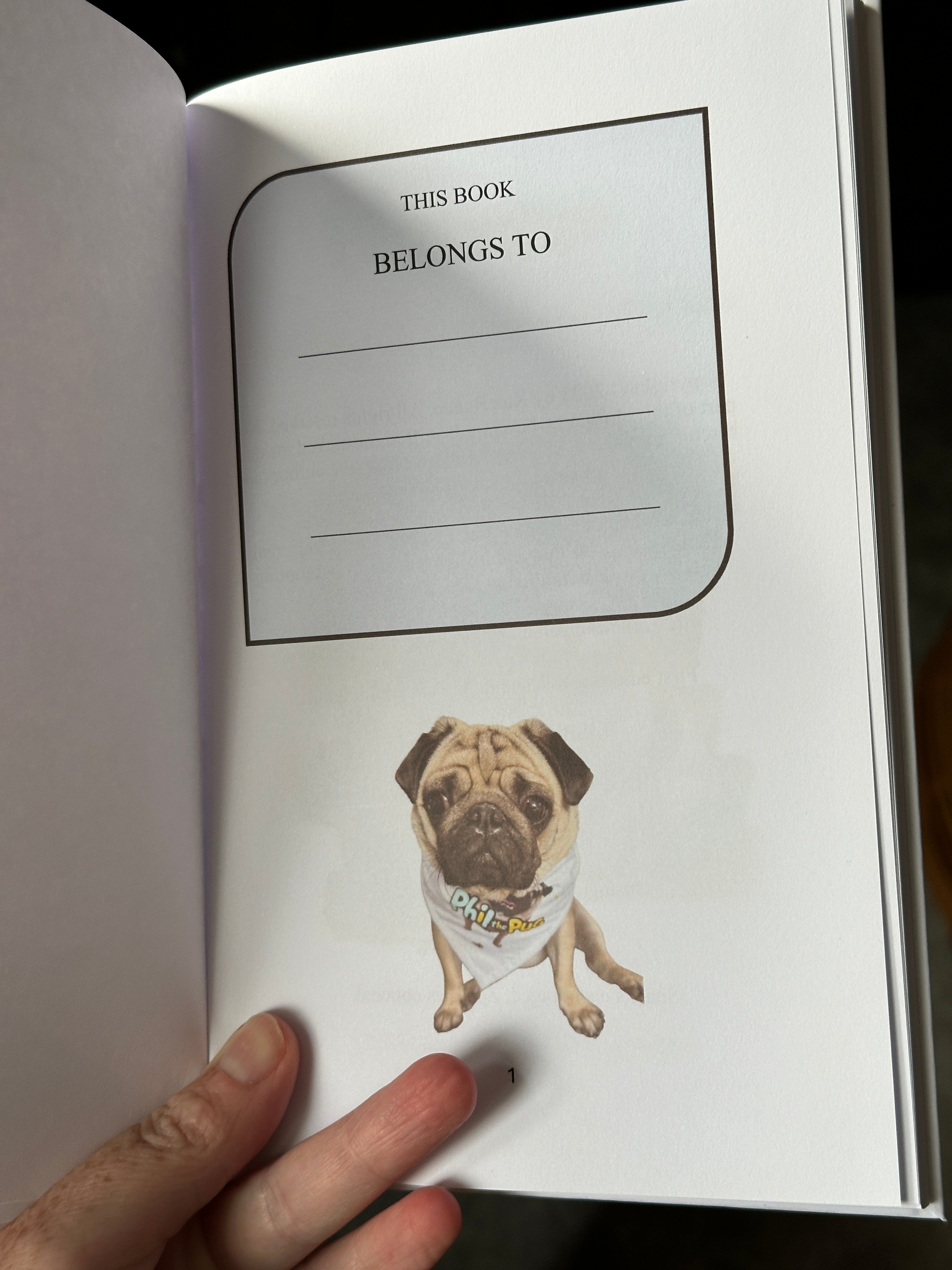 Phil the Pug - Phil and the Cat who Almost Liked Him - Signed Edition - Children's Paperback Book