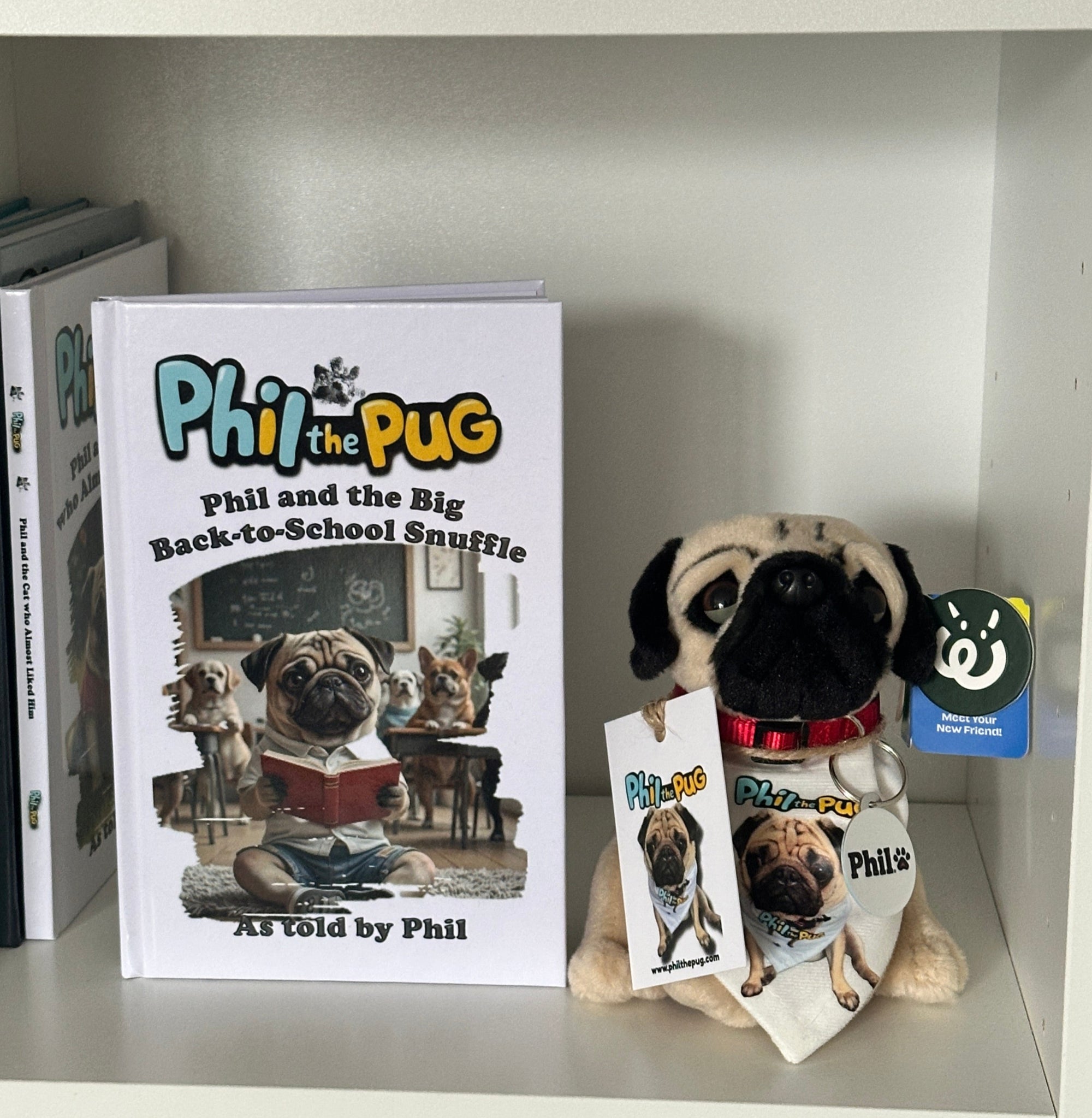 Phil the Pug – Custom Plush Toy with Signature Accessories - 16.5cm