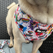 🌈 Phil’s Pride Parade Harness