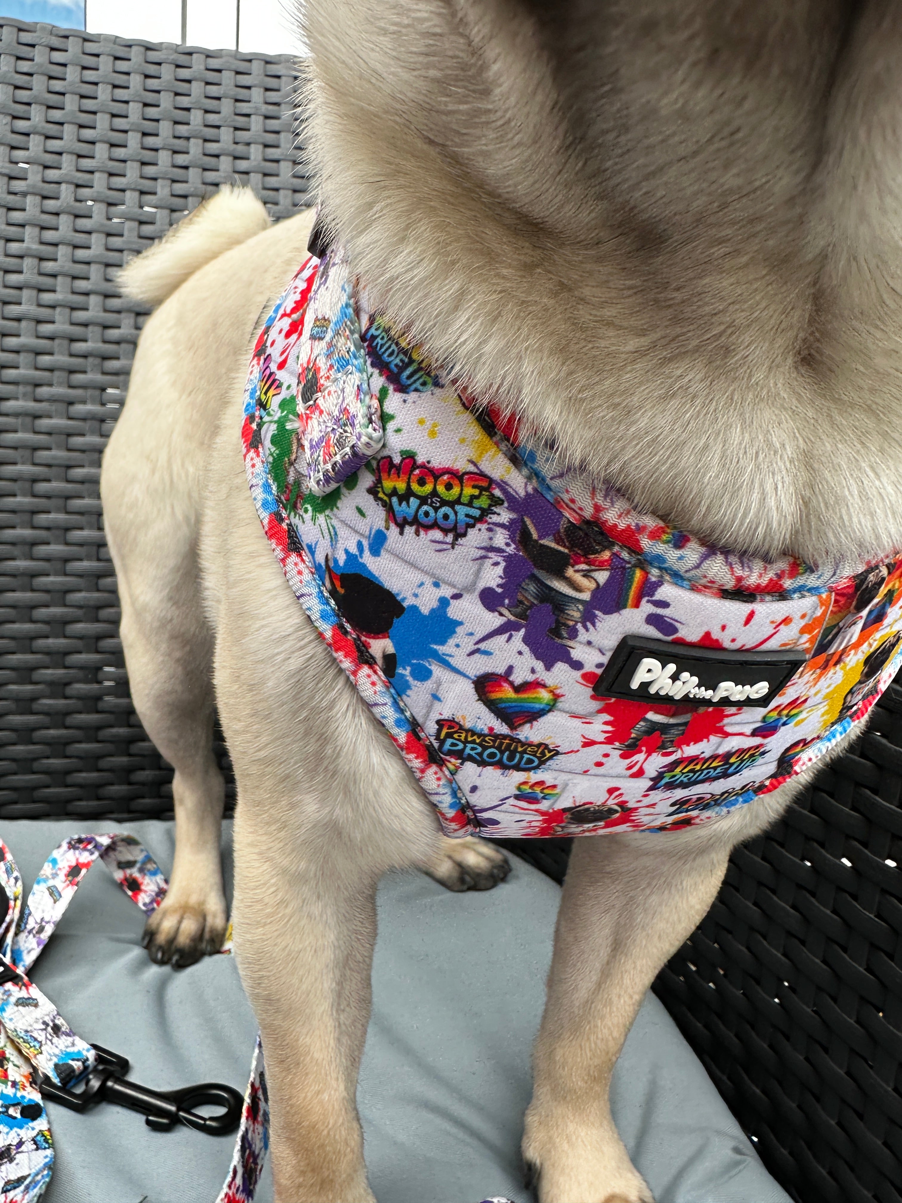 🌈 Phil’s Pride Parade Harness