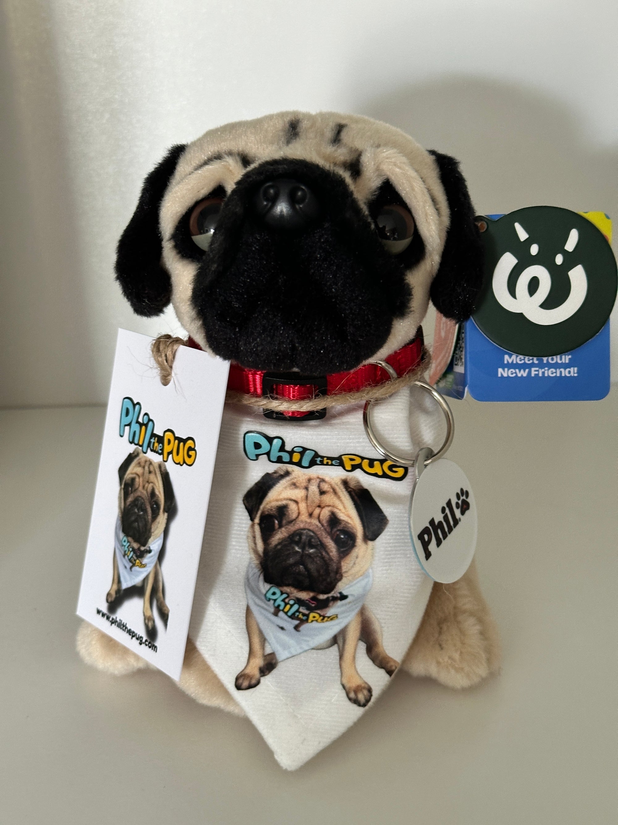 Phil the Pug – Custom Plush Toy with Signature Accessories - 16.5cm