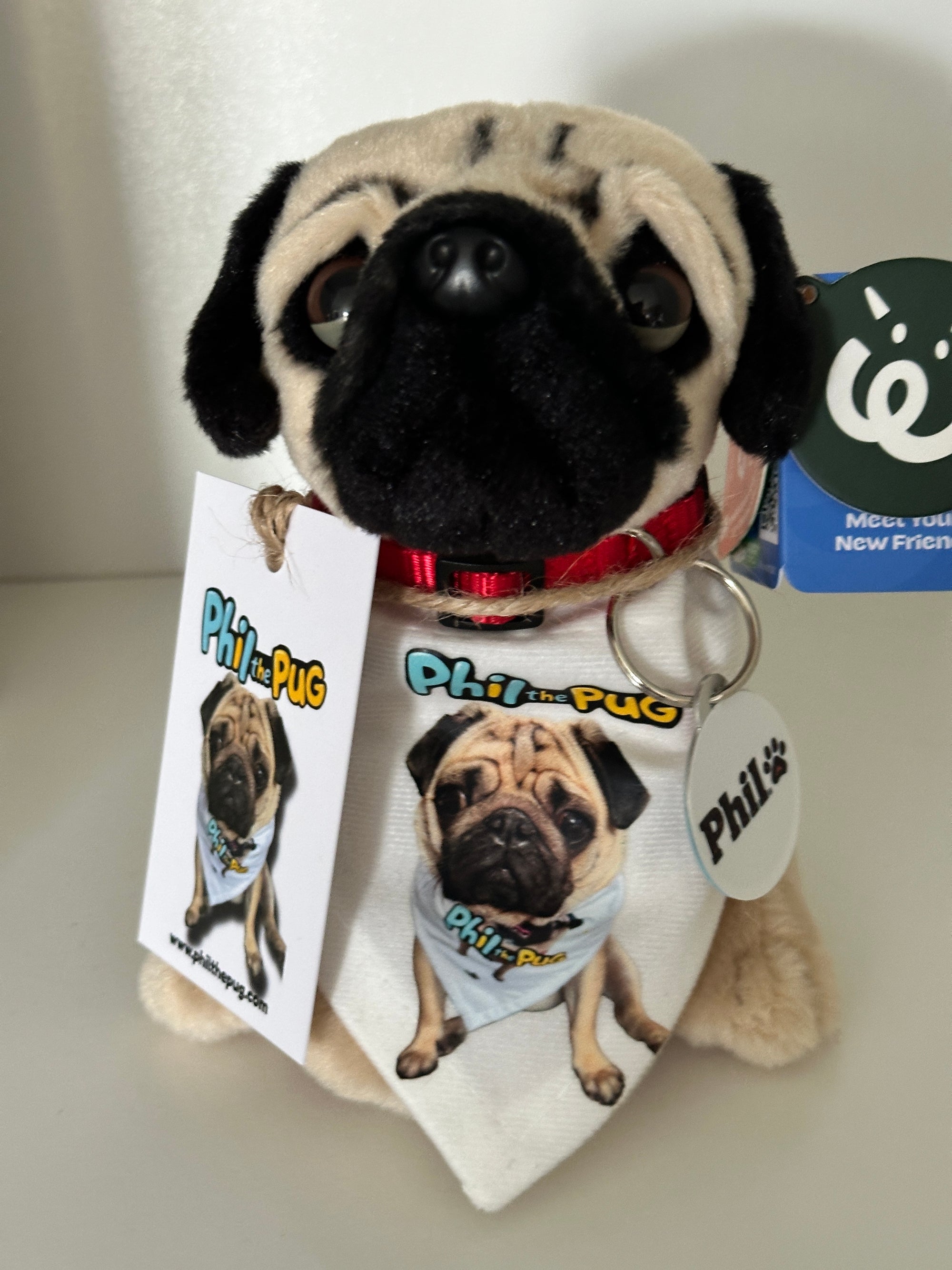 Phil the Pug – Custom Plush Toy with Signature Accessories - 16.5cm
