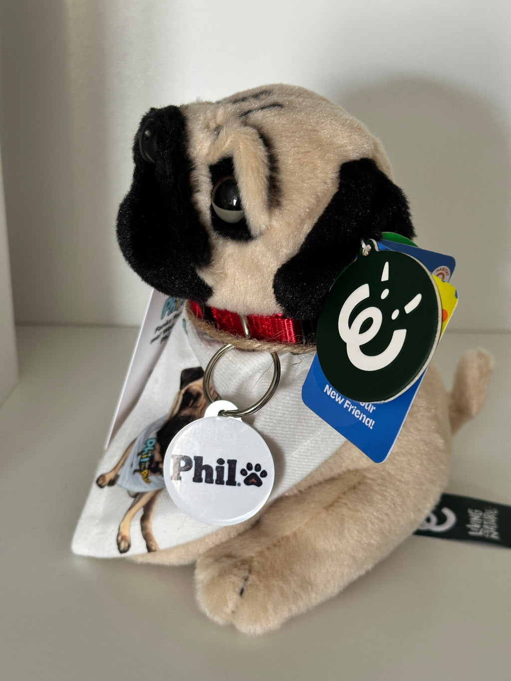 Phil the Pug – Custom Plush Toy with Signature Accessories - 16.5cm