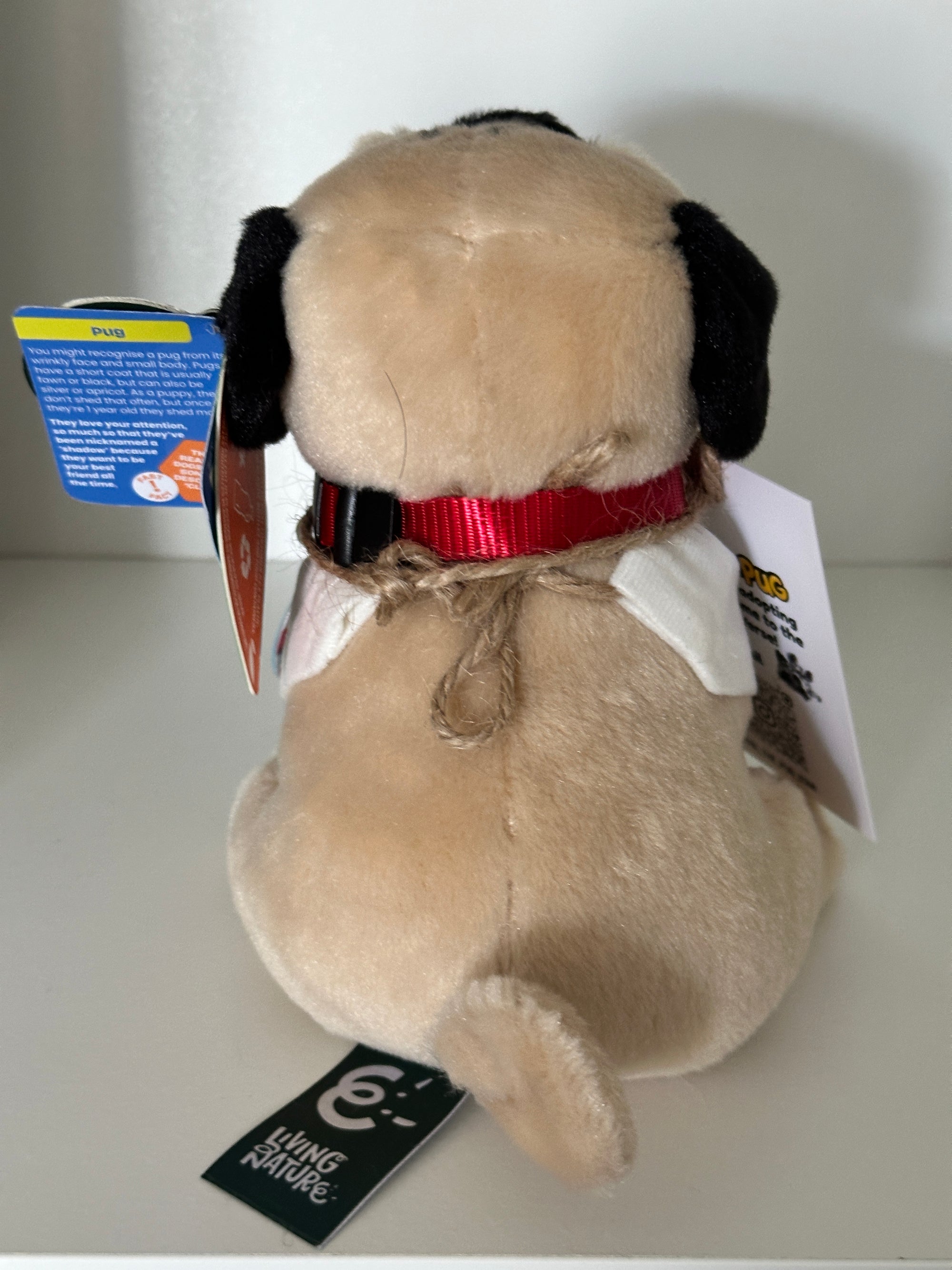 Phil the Pug – Custom Plush Toy with Signature Accessories - 16.5cm