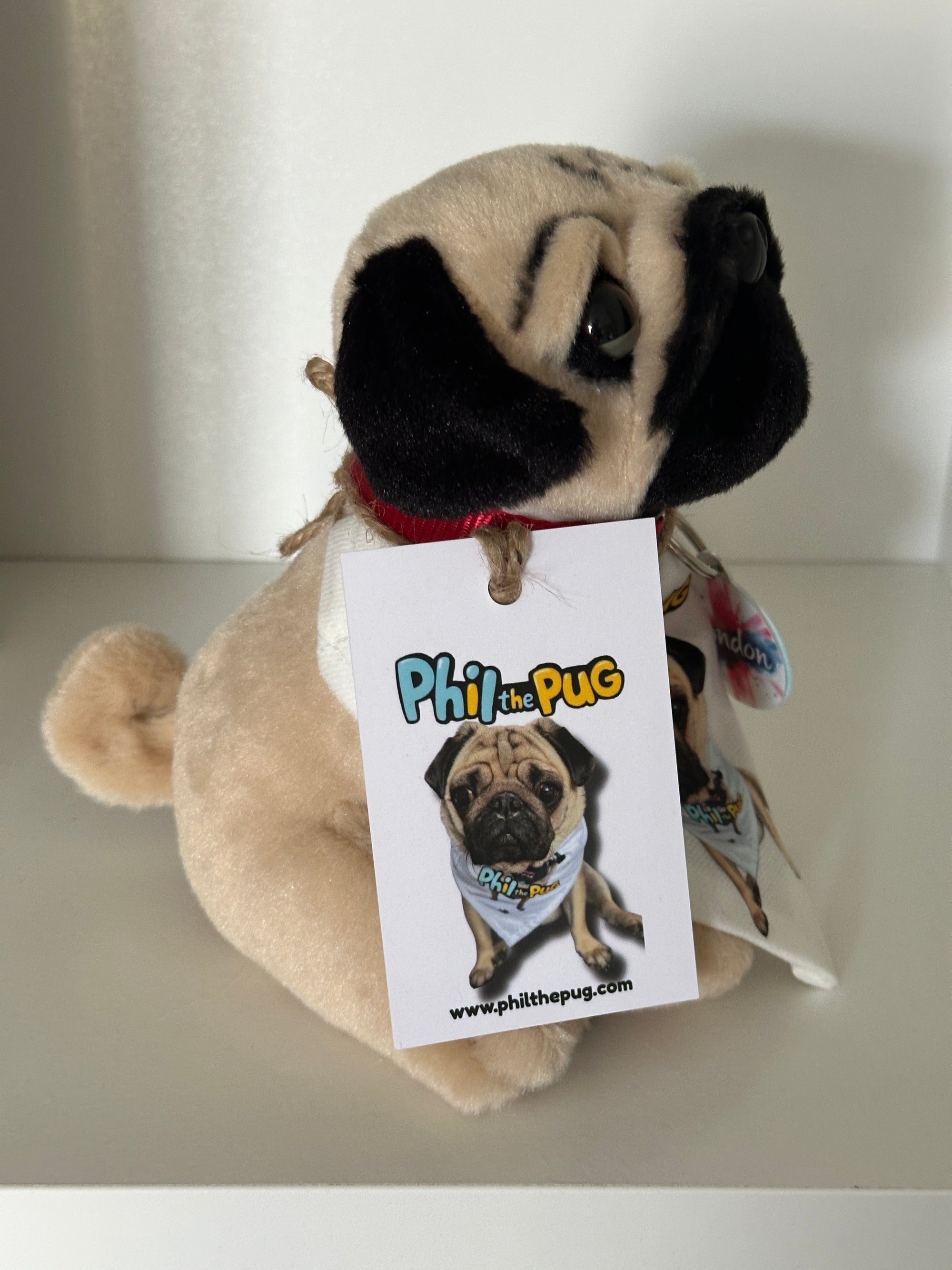 Phil the Pug – Custom Plush Toy with Signature Accessories - 16.5cm