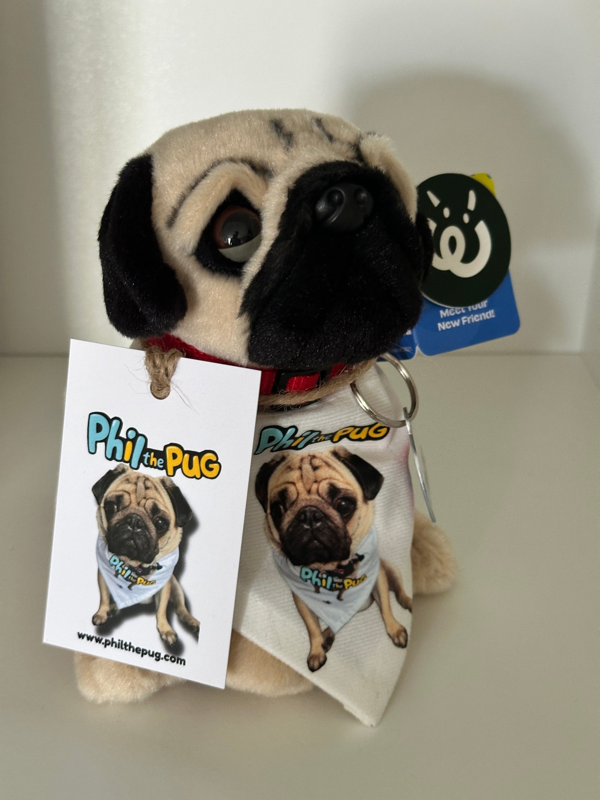 Phil the Pug – Custom Plush Toy with Signature Accessories - 16.5cm