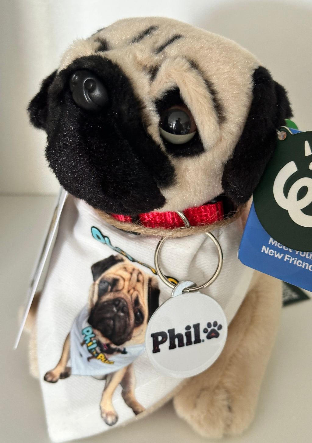 Phil the Pug – Custom Plush Toy with Signature Accessories - 16.5cm