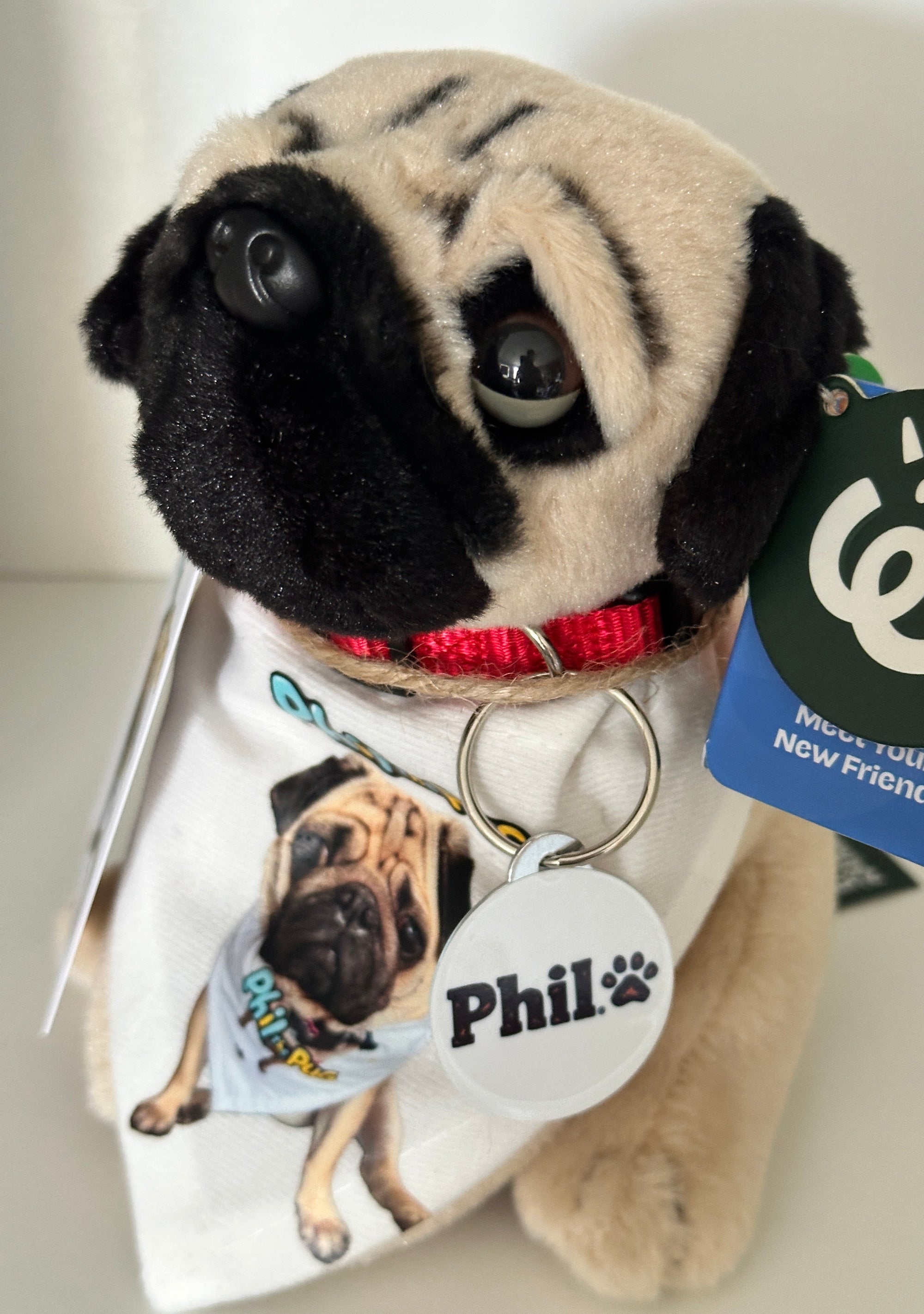 Phil the Pug – Custom Plush Toy with Signature Accessories - 16.5cm