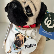 🐾 Phil the Pug: Collector’s Edition Bundle